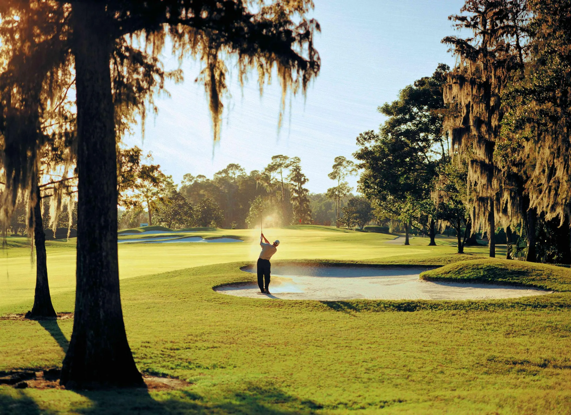 Disney's Magnolia Golf Course  -  Orlando, FL golf course