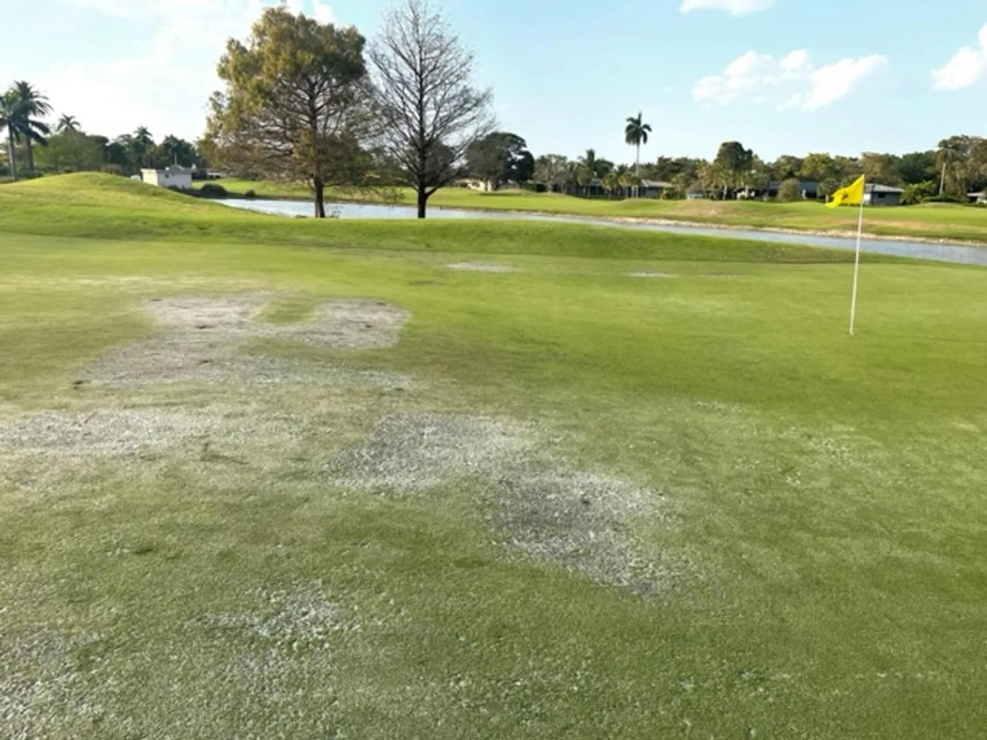 Plantation Preserve Golf Course & Club - Fort Lauderdale, FL golf course, view 1
