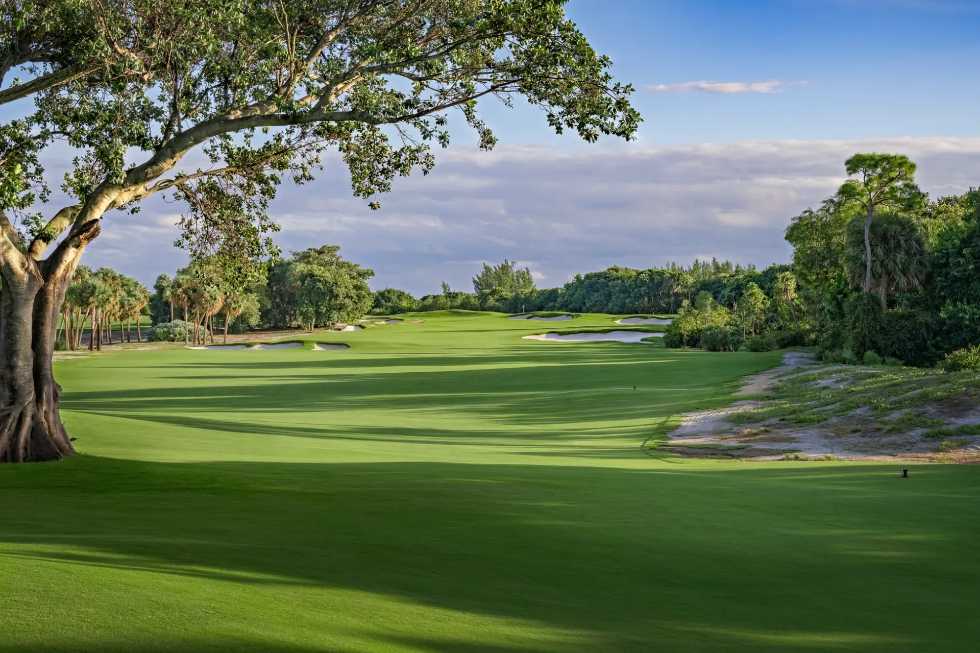 The Park Golf Course - West Palm Beach - Palm Beach, FL golf course